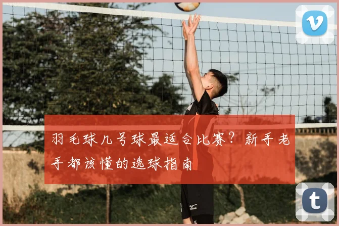 羽毛球几号球最适合比赛?新手老手都该懂的选球指南