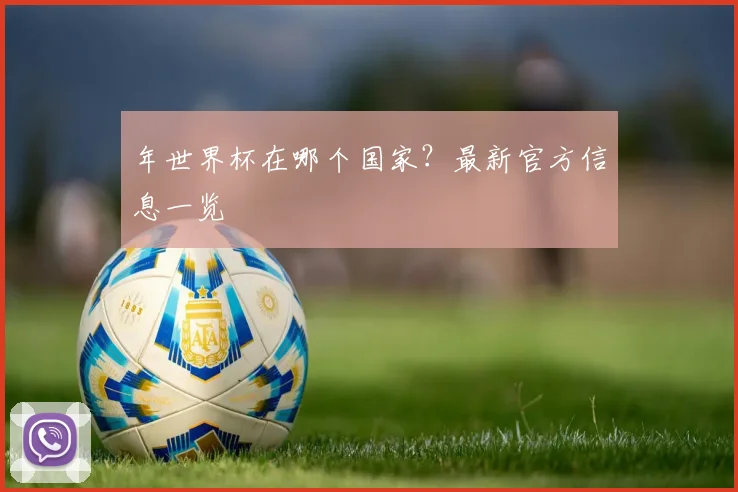 年世界杯在哪个国家?最新官方信息一览