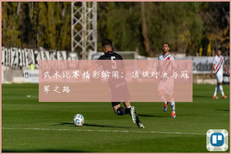 武术比赛精彩瞬间：顶级对决与冠军之路