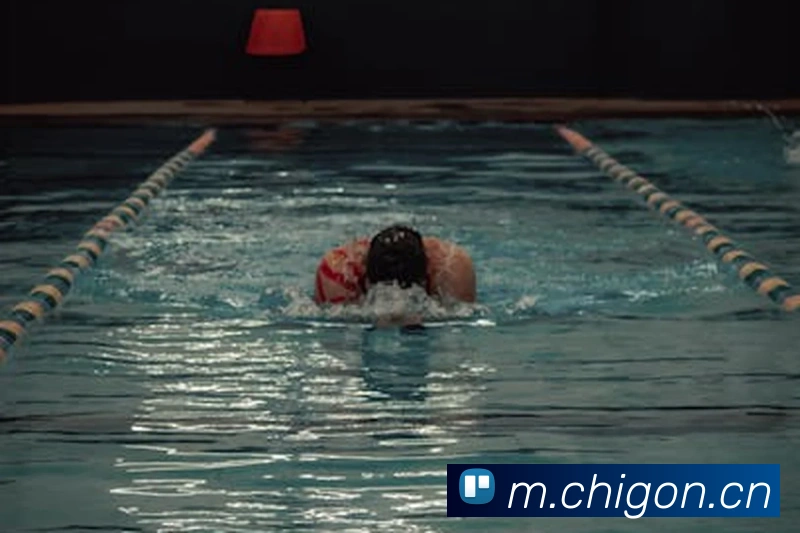 奖项证书